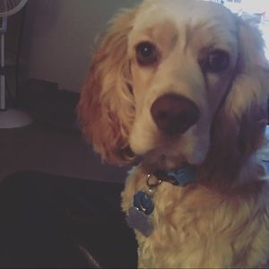 Meet your Posher, Mandy